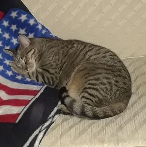 Meet your Posher, Jean